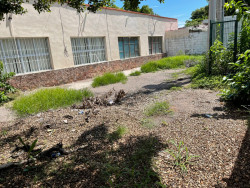 Planteles educativos ya son atendidos para rehabilitar la infraestructura dañada