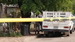 Encuentran a una persona asesinada en El Palmito
