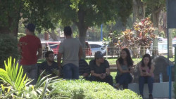 Este 12 de agosto se celebra el día de la juventud