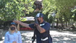 Jack el quelele realiza función educativa y social en el zoológico de Cln