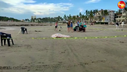 Turista de Chihuahua muere ahogado en Mazatlán