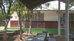 Niñez necesita regresar a las aulas, pero existe riesgo: Especialista