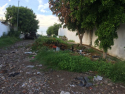 Cada vez peor la calle Ernesto Damy