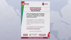 Certificado de vacunación obligatorio en antros y bares