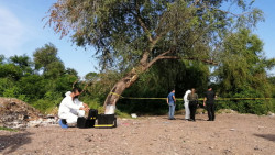 Asesinan a mujer a golpes