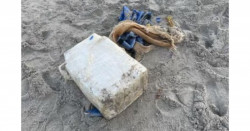 Bañista encuentra en la playa un paquete de cocaína valorado en 1 millón de dólares