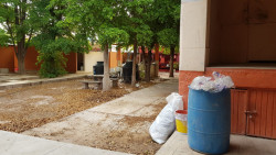 Fumigaran escuelas de Ahome