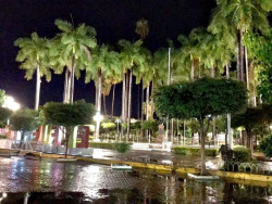 Afectaciones menores por lluvias en El Fuerte; mantendremos protocolos de prevención por “Nora”: PC