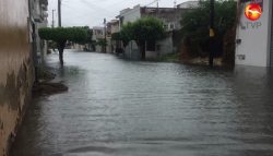 Lluvias dejan 100 árboles caídos y 32 semáforos descompuestos en Mazatlán