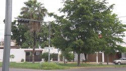 otros más, no funcionan semáforos en la colonia periodistas