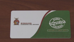 Poca afluencia para solicitar tarjeta de descuento en transporte urbano