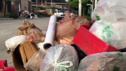 Por falta de acceso no les recogen la basura en la Francisco Villa