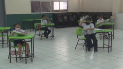 19.7%  del estudiantado podría tener indicios de depresión