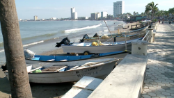 No hay pesca de escama en Playa Norte