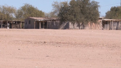 Acudirán a vacunar contra el covid 19 a la Loma de Bácum