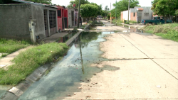 Aguas negras se concentran en fraccionamiento Santa Fe