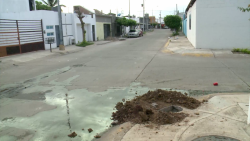 Dicen no a los postes en Fraccionamiento Paseo Alameda