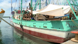 Salen barcos camaroneros vía lastre