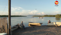 Baja producción de camarón en Laguna del Caimanero: Cooperativa de Potrerillos, Rosario