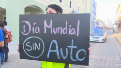 Celebran con recorrido peatonal "día Mundial Sin Auto"