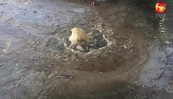 Fuerte fuga de agua potable recorre varias calles de la Colonia Montuosa