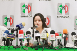 MORENA reduce en un 94% los apoyos para pequeñas y medianas empresas