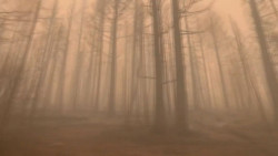 Carlos Angulo tiene solución a los incendios forestales