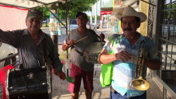 Músicos de banda recorren las calles