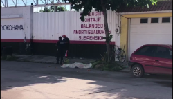 Hombre cae de árbol y muere en Escuinapa