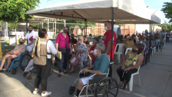Siguen los registros de 65 y más en Mazatlán