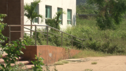 Rodea maleza oficinas de SEPyC en Mazatlán