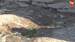 Proliferan en la colonia Ricardo Flores Magón las fugas de aguas, los vecinos ya están cansados.