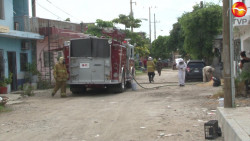 Enjambre de abejas en la colonia Salvador Allende se sale de control y afecta a dos personas.