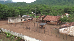 Migración hormiga desde zona serrana por violencia