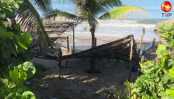 Deja Pamela daños a palapas y restaurantes de Mazatlán
