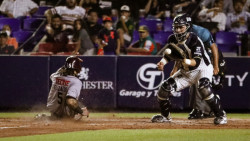 Tomateros evita barrida ante Sultanes