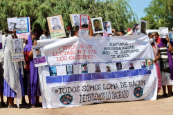 Búsqueda de desaparecidos en la Loma de Bácum sigue