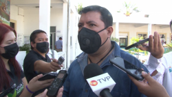 Ya son mas de mil árboles caídos por huracán "Pamela"