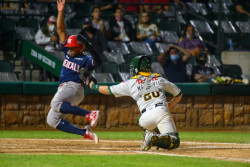 Los Águilas de Mexicali igualan serie a cañeros de Los Mochis