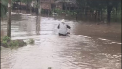 Publican en el DOF declaratoria de emergencia por el huracán Pamela