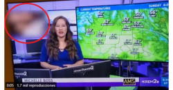 Noticiero transmite sin darse cuenta un video para adultos en vivo (video)