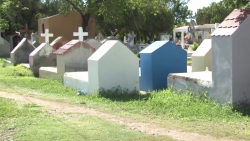 Permitirán acceso a niños y adultos mayores a panteones