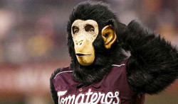 La popular mascota de Tomateros, el Chango 0 Te será el nuevo Director del ISDE