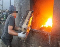 Destruyen precursores químicos y narcóticos en Culiacán