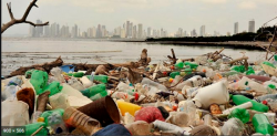 Eb Sinaloa se ha reducido el uso del plástico no biodegradable. un 5%
