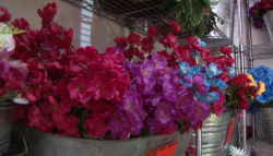 Flores artificiales, la opción preferida para adornar panteones