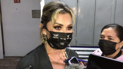 Se avanza en la creación de la Secretaría de la Mujer de Sinaloa