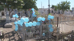 En el día de todos los santos o de los angelitos, la tumba del pequeño Alejandro Zaragoza es la más visitada