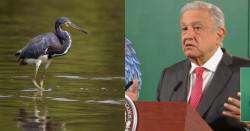 AMLO manda carta a Biden comprometiéndose a enfrentar el calentamiento climático