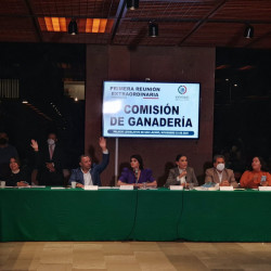 Incrementan presupuesto al sector ganadero